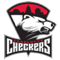 Charlotte Checkers logo